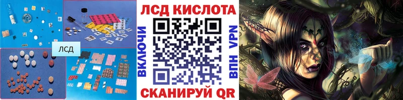 omg ссылки  Кингисепп  LSD-25 экстази ecstasy 