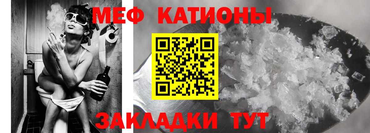 Кингисепп  МЯУ-МЯУ мяу мяу  МЯУ-МЯУ мука  Вход с VPN 