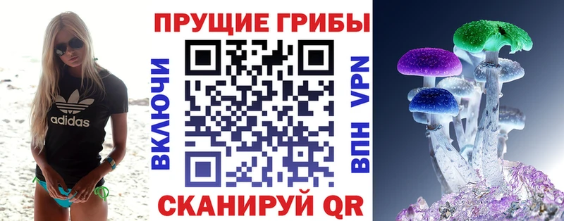 Галлюциногенные грибы Psilocybe  OMG как зайти  Кингисепп 