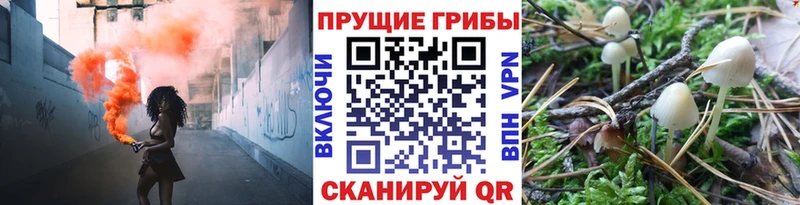Псилоцибиновые грибы MAGIC MUSHROOMS Кингисепп